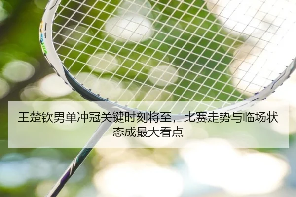 王楚钦男单冲冠关键时刻将至，比赛走势与临场状态成最大看点